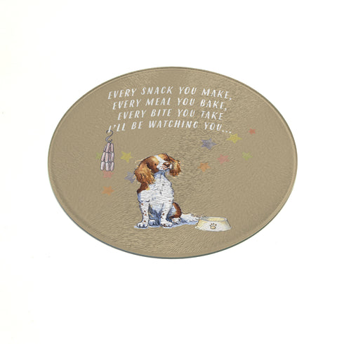 Springer Spaniel Red & White Trivet